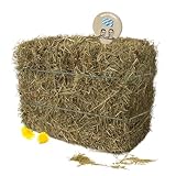 Gebrüder Goller - 10 kg Heuballen für Kaninchen, Meerschweinchen, Hamster und...