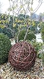 Weidenkugel in 6 Größen, Dekokuge laus Weide Weidenball Gartenkugel...