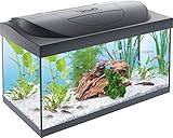 Tetra Starter Line 54 L Aquarium Komplett-Set - inkl. Tag- & Nachtlicht...