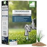 1 kg Rasensamen trockenresistent dürreresistent für Trockenrasen &...