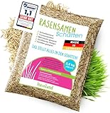 halmland® Rasensamen Schattenrasen schnellkeimend 2,5kg für 100m² - TEST SEHR...