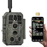 GardePro X50 4G LTE Wildkamera mit SIM-Karte und App, 48MP 1296P H.265 Video, No...