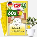 PIC Gelbsticker Trauermücken - 60x Gelbtafeln gegen Trauermücken, Effektiv...