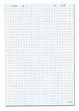 Herlitz 10834141 Flipchartblock, 68x99cm (kariert/gelocht), 5 Blöcke (20 Blatt...