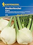 Kiepenkerl 3095 Knollenfenchel Dragon F1, große schossfeste Knollen für den...