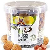 Fang die Nuss! | 1,0kg Eichhörnchenfutter mit 60% Haselnüsse + Walnüsse |...