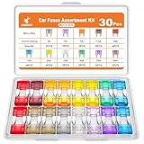 JOREST 30Pcs Mini Kfz Sicherung Set, Flachsicherungen Auto - Automotive...