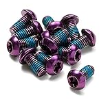 Reverse Fahrrad M5 x 10 Disc Torx T25 Bremsscheiben Befestigungsschrauben (12er...