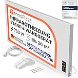 TermoPlaza Infrarotheizung mit Thermostat 750 W bis 20m² | Infrarot Wandheizung...