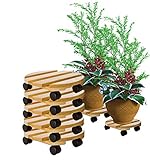 BigDean 5x Pflanzenroller rund Buchenholz massives Holz 30 cm bis 120 Kg...