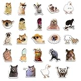 Magnet Katze Kühlschrank, 24 Stück Magnete für Kühlschrank Lustig, Cat Meme...