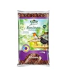 Dehner Natura Premium Wildvogelfutter, Rosinen Delikatesse, Futterrosinen,...