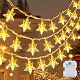 cshare Led Lichterketten Sterne Außen, 6M 40LED Fünfzackiger Stern...