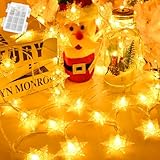 Gcstnn Lichterkette Batterie Außen, 3M 20 LED Schneeflocke Warmweiß...