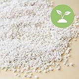 Terra Exotica Perlite 10, 20 oder 100 Liter Perlit für Pflanzen, ideal für...