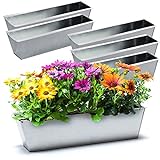 BigDean 6er Set Zink Paletten Blumenkästen - Einsatz 38cm groß Silber - aus...