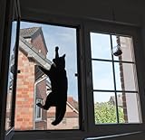 Fliegengitter Fenster katzensicher nach Maß Insektenschutz DIY Fliegengitter...