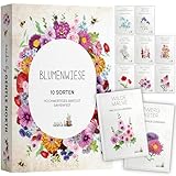 Blumen Samen Set - 10 bunte Blumensamen Sorten für den Garten oder Balkon, die...