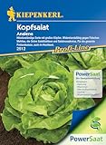 Kiepenkerl Profi-Line Kopfsalat Analena PowerSaat - Winterhartes Garten Saatgut...