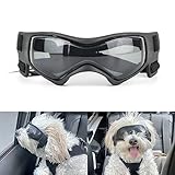 PETLESO Hundebrille für kleine Rassen, UV-Schutz, winddicht, Augenschutz,...