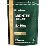 Grüntee Extrakt 12480 mg pro Tagesdosis | 120 Pulver Kapseln | Hochdosiert...