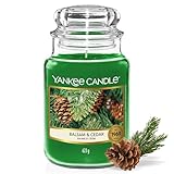 Yankee Candle Duftkerze im Glas (groß) | Balsam & Cedar | Kerze mit langer...