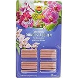 COMPO Düngestäbchen für Orchideen, Orchideendünger, Dünger mit 3 Monaten...