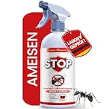 KRAFTKÖNIG Ameisenspray 500 ml – Hochwirksames Ameisen Spray für...