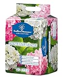 Floragard Endless Summer Hortensienerde rosa/weiß 20 L • zum Pflanzen und...