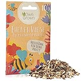 Bienenwiese Blumenmischung: 10g Premium Bienen Saatgut für Bunte Bienenweide,...