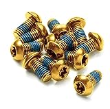 Reverse Fahrrad M5 x 10 Disc Torx T25 Bremsscheiben Befestigungsschrauben (12er...