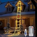 Euakee LED Weihnachtsmann Leiter Lichterkette, 3 Meter LED Weihnachtsbeleuchtung...