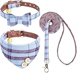 Hundehalsband und Leine mit Fliege, Set für kleine Hunde – Welpenleine...