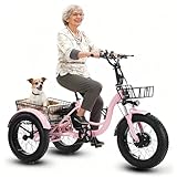 flatpincololee Elektro Dreirad Fahrrad 500W Motor, 48V 13Ah Herausnehmbarer Akku...