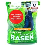 Rasensamen schnellkeimend Schattenrasen 2,5kg = 70m² Herbst - SEHR GUT getestet...