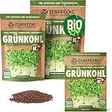 ZenGreens® - Bio Grühnkohl Sprossen Samen - Wähle zwischen 10g, 200g und 500g...