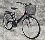 26 Zoll Damencityrad SAFIRO 21-Gang Kettenschaltung, Gepäckträger, Licht und...