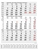 3-Monats-Planer Comfort Grau 2021: 3-Monatskalender groß I Wandplaner /...