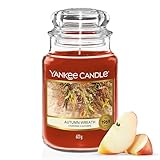 Yankee Candle Duftkerze im Glas (groß) | Autumn Wreath | Kerze mit langer...
