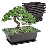 Idota 6 Stück Bonsai Schale, 16.5x12x6cm Bonsai Topf Wiederverwendbar...
