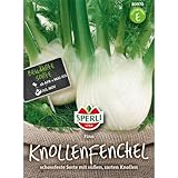 Knollenfenchel ´Fino´