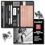 KALOUR PDAS 22-teiliges Zeichenkohle-Set, Professionelles Kunstzubehör,...