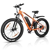 VARUN E Bike Herren 26 Zoll, 4.0 Fat Tire E-Mountainbike mit 𝟒𝟖𝐕...