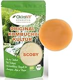 Original-Kombucha-Teepilz Premium Qualität + Bio Kombucha Getränk, Anleitung +...