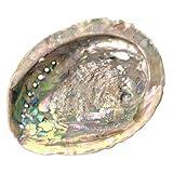 Große Abalone-Muschel (12-15cm) – Natürliche Räucherschale & Dekoration