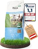 Hesa Gebrauchsrasen 1 kg für 40 m², RSM 2.3, schnellkeimende Premium...