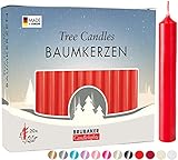 BRUBAKER 20er Pack Baumkerzen Wachs - Weihnachtskerzen Pyramidenkerzen...