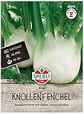 80970 Sperli Premium Fenchelsamen Fino| Bewährte Schossfeste Sorte | Fenchel...