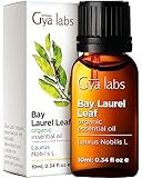 Gya Labs Bio Lorbeer ätherisches Öl für Diffusor - 100% rein und nautral Lorbeeröl Bio für Haar - Bay Laurel ätherisches Öl Bio ist würzig, krautigen Duft (0,34 Fl Oz)