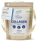 Collagen Pulver 1 KG - Bioaktives Kollagen Hydrolysat Peptide, Eiweiß-Pulver...